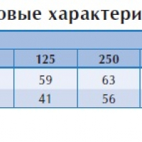 Настенный вентилятор RS 125 C